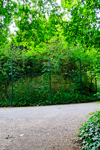 Bilder: Die Reste der Alten Burg zu Aschersleben befinden sich auf dem Gelände des Zoo.