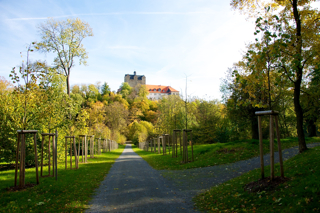Bild: Blick über den Schlossteich auf das Schloss Ballenstedt.
