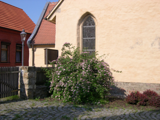Bild: Die Kapelle St. Gangolf auf dem Kupferberg von Hettstedt.