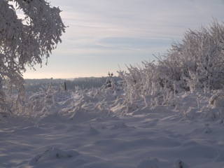 Bild: Schnee auf der Rabenskuppe bei Mansfeld.