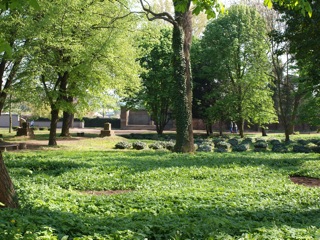 Bild: Auf dem Alten Friedhof oder Campo Santo in der Lutherstadt Eisleben.