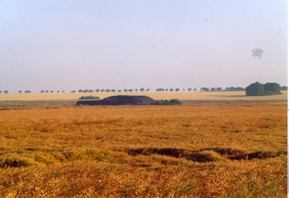 Bild: Bergbauhalden auf der Mansfelder Hochfläche bei Welfesholz.