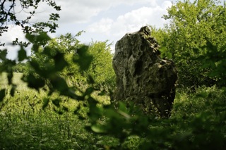 Bild: Die Speckseite oder Speckstein von Aschersleben ist ein jungsteinzeitlicher Menhir.
