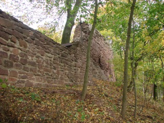 Bild: Die Wall- und Befestigungsmauern auf der flachen Seite des Bergspornes der Schweinsburg zu Bornstedt.