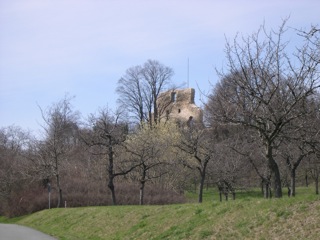 Bild: Die Ruine der Burg Stapelburg.