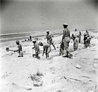 Bild: Britische Soldaten beim Ausheben von Verteidigungsstellen in der ERSTEN SCHLACHT VON EL ALAMEIN. Dieses von der Regierung des Vereinigten Königreichs erstellte Werk ist der public domain, da es von der Regierung des Vereinigten Königreichs vor dem 1. Juni 1957 erstellt wurde.