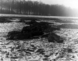 ild: Gefallene deutsche Soldaten, 1. Weihnachtsfeiertag 1944, bei Bastogne. Das Bild ist gemeinfrei, da es von einem Beamten oder Angestellten einer US-amerikanischen Regierungsbehörde in Ausübung seiner dienstlichen Pflichten erstellt wurde.