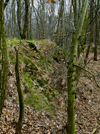 Bild: Die Reste der Großen Kuppenburg bei Bräunrode.