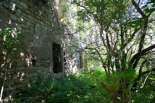 Bild: Impressionen von der Ruine Haus Zeitz.