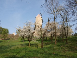 Bild: An der Burg zu Freckleben.