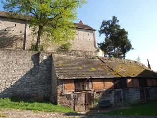 Bild: Die landwirtschaftliche Nutzung über viele Jahrhunderte hat deutliche Spuren an der Burg Hausneindorf hinterlassen.