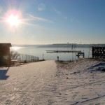 Bild: Am Nordufer des Concordiasees bei Schadeleben.