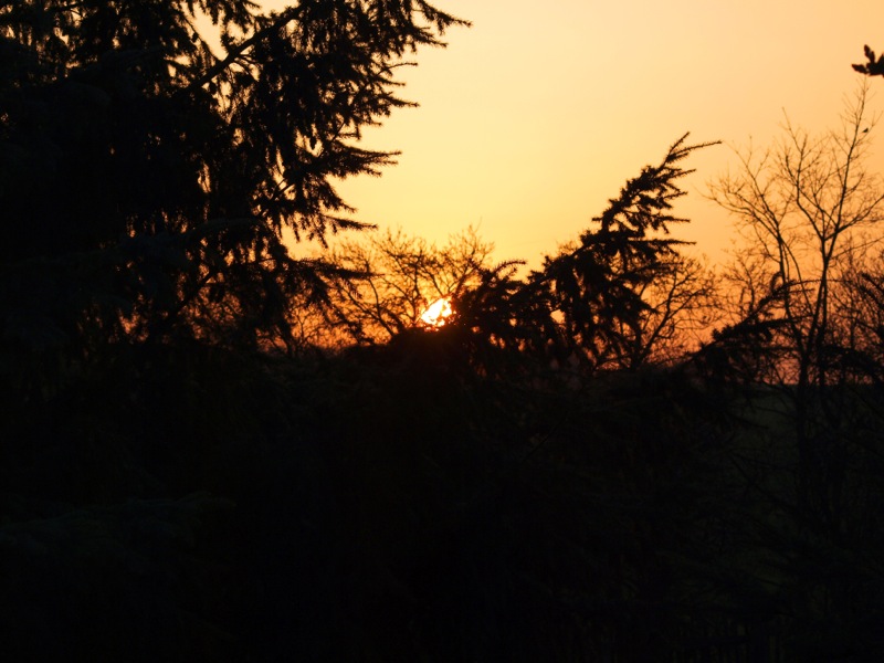 Sonnenuntergang in Greifenhagen.