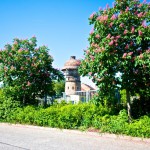 Aschersleben - Blühende Kastanien und rostiger Wasserturm