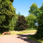 Bild: Degenershausen - Im Landschaftspark.
