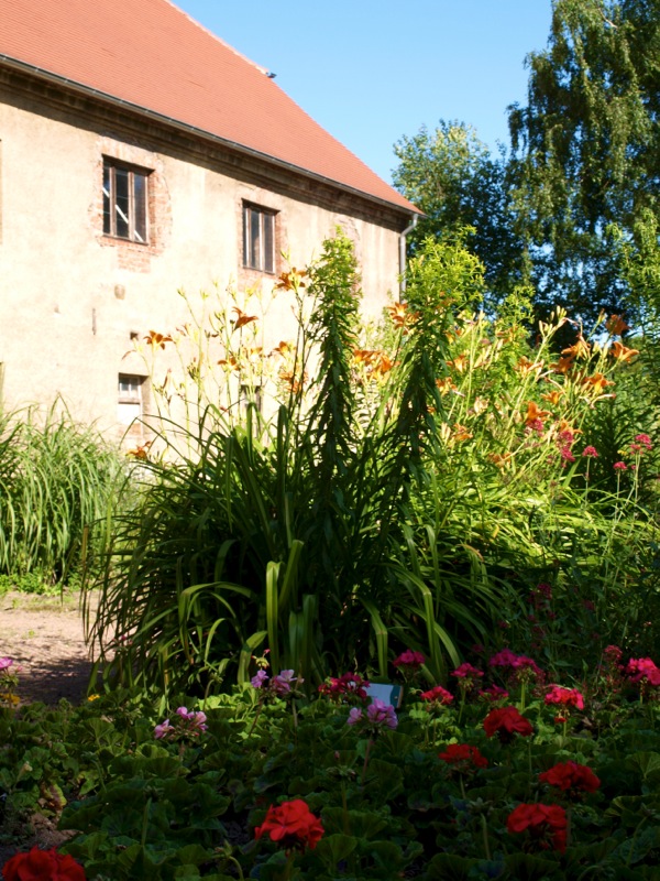 Bild: Degenershausen - Im Staudengarten am Landschaftspark.