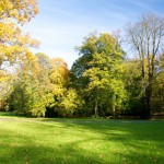 Herbstlich gefärbte Bäume im Schlosspark zu Ballenstedt im Harz.