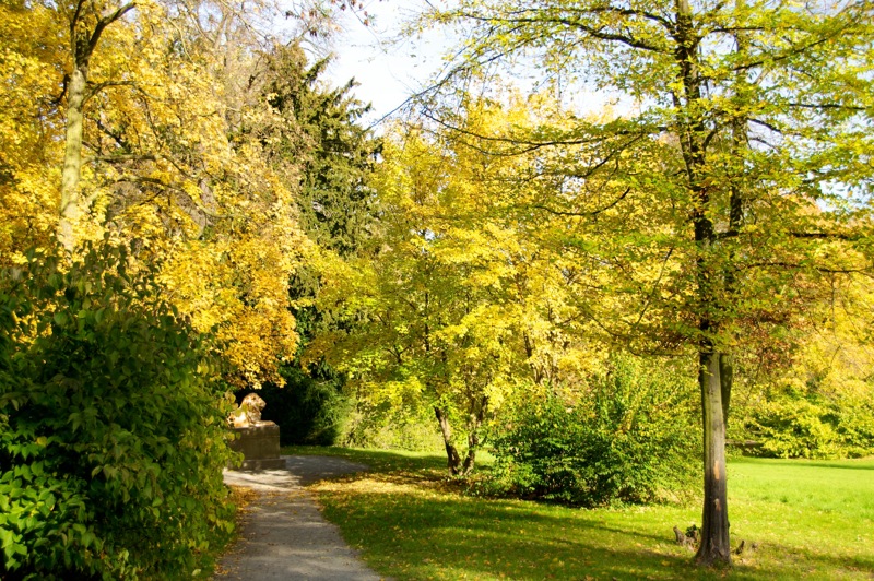 Herbstlich gefärbte Bäume im Schlosspark zu Ballenstedt im Harz.