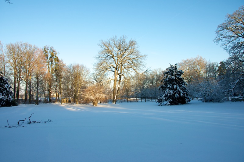 Im Schlosspark zu Ballenstedt im Winter