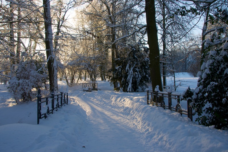 Im Schlosspark zu Ballenstedt im Winter