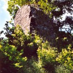 Bild: Impressionen von der Burgruine Stecklenburg bei Stecklenberg im Harz.