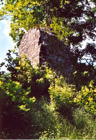 Bild: Impressionen von der Burgruine Stecklenburg bei Stecklenberg im Harz.