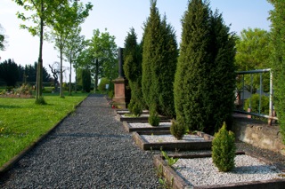 Bild: Gräber zu Ehren der Opfer des Faschismus auf dem Friedhof von Wansleben am See.