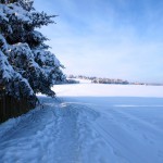 Bild: Winter auf der Rabenskuppe bei Mansfeld.