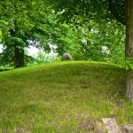 Bild: Das Riesenlabyrinth Trojaburg oder Schwedenring von Steigra.