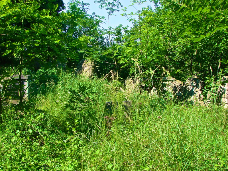 Bild: Rumpin - alte Grabsteine auf dem historischen Friedhof von Rumpin.