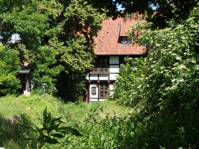 Bild: Historische Bausubstanz am Dom zu Halberstadt.