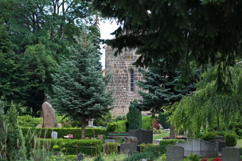 Bild: Auf dem Wiperti-Friedhof - Blick auf die Kirche St. Wipertii zu Quedlinburg.