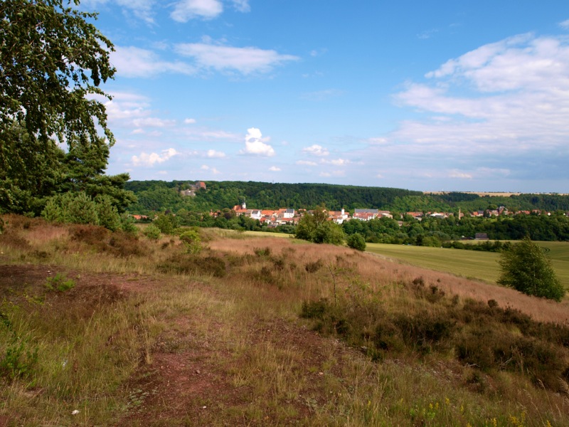 Bild: Sommer auf der Rabenskuppe bei Mansfeld.