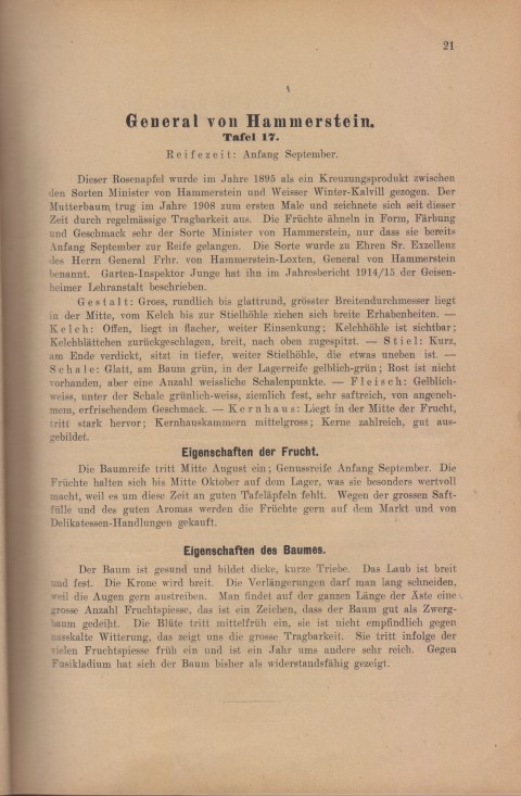 Bild: Beschreibung des General von Hammerstein im Buch Unsere besten Deutschen Obstsorten Band I: Äpfel von 1923.