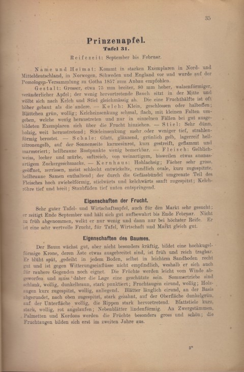 Bild: Beschreibung des Prinzenapfel im Buch Unsere besten Deutschen Obstsorten Band I: Äpfel von 1923.