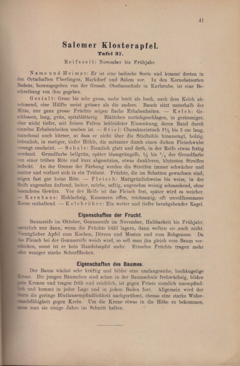Bild: Beschreibung des Salemer Klosterapfel im Buch Unsere besten Deutschen Obstsorten Band I: Äpfel von 1923.
